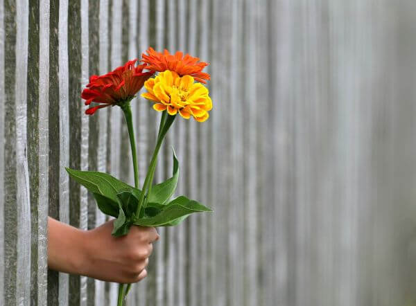 Hva er datoen for Valentinsdagen i år?